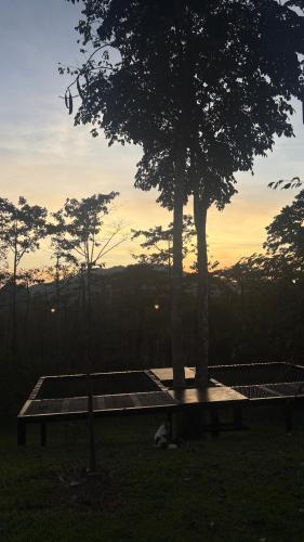 Khao Sok Hill Top Resort - Tap to explore photos