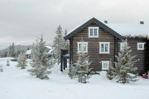 Log Cabin By Mostertoppen Ski Stadium – khách sạn tại Oyer