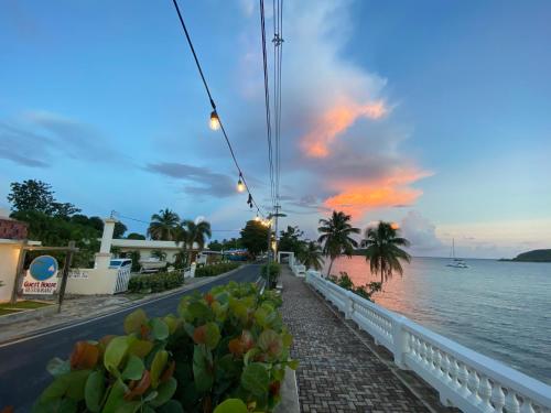 View, Trade Winds Restaurant & Guest House in Vieques Island