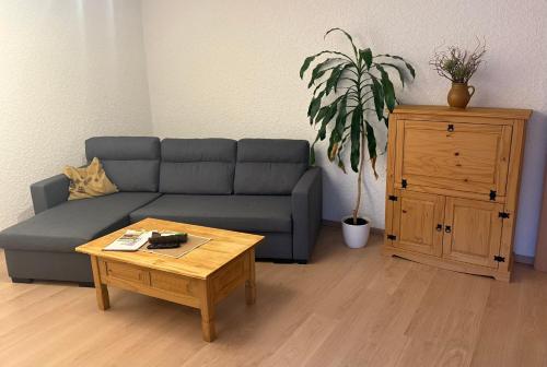 Ferienwohnungen Medikus in Luftkurort Lückendorf, Deutschland