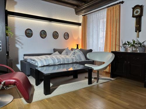Ferienwohnung Altstadt Freistadt in Freistadt
