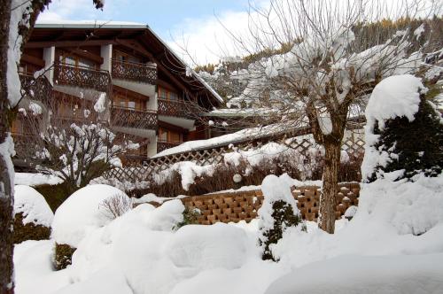 Hôtel Les Côtes Résidence Loisirs et Chalets - image 5