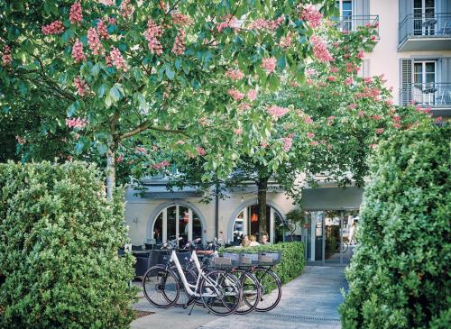 Sorell Boutique-Hotel Speer Rapperswil in Rapperswil-Jona