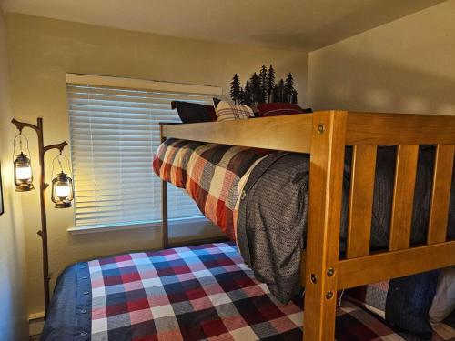 Heavenly Stagecoach Ski Retreat - image 7