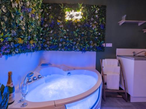 Sault Tropical - Ideal Couple - Balneo Led - Vue Parc & Montagne - Wifi - Stationnement Gratuit - 5m - Sault