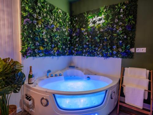 Sault Tropical - Ideal couple - Balneo Led - Vue parc & montagne - Wifi - Stationnement gratuit - 5m in Sault (Provence-Alpes-Cote d'Azur)