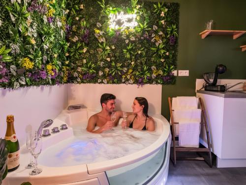 Sault Tropical - Ideal couple - Balneo Led - Vue parc & montagne - Wifi - Stationnement gratuit - 5m in Sault (Provence-Alpes-Cote d'Azur)