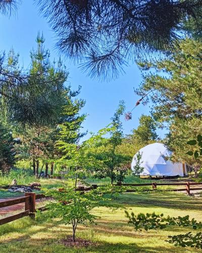Glamp Refugio Silvestre 7 Tazas