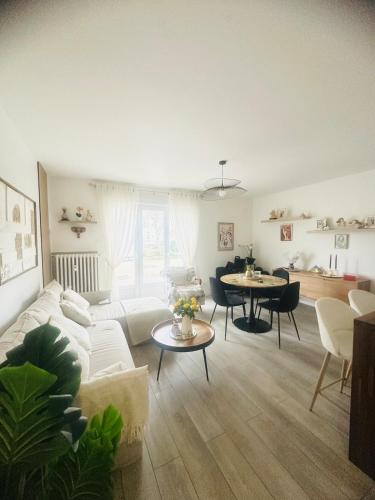 Charming and Cozy Apartment