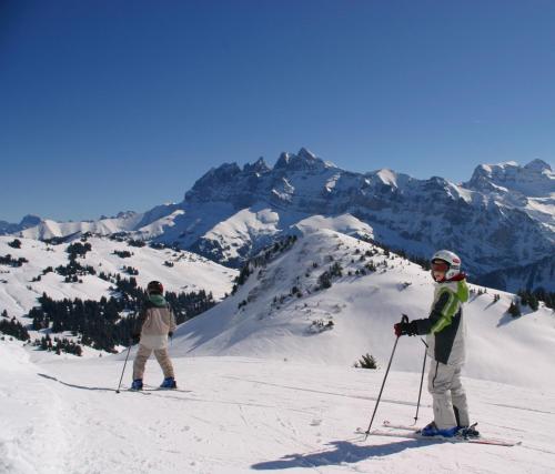 Hôtel Les Côtes Résidence Loisirs et Chalets - image 6