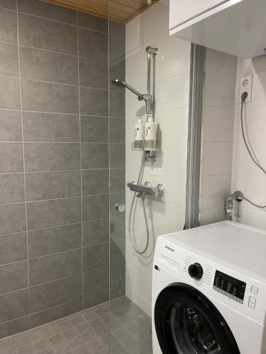 Apartment Tiira in Kuopio
