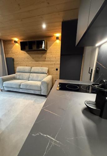 Appartement au pied des pistes - Location saisonnière - Châtel