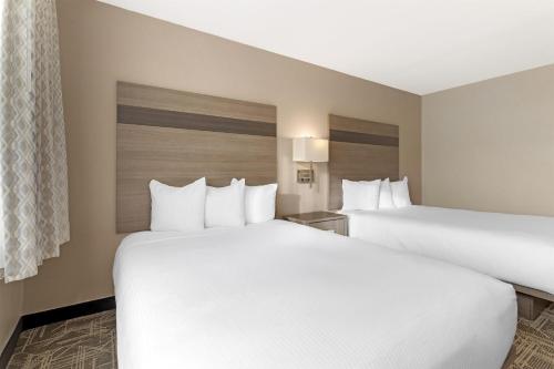 2 queen beds