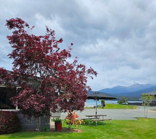 湖濱汽車旅館公寓 (Lakeside Motel & Apartments) in 市中心