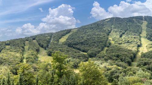 374 Lodge At Spruce Peak Ski In Ski In Ski Out King Studio in Stowe, USA