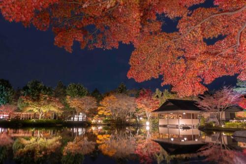 ラフィーネハイツ201