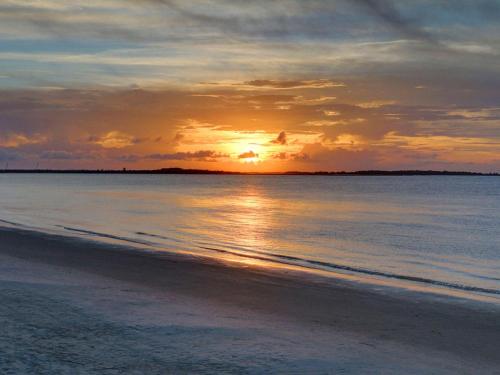 Beach and Racquet - image 14