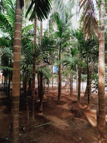 Sadguru Krupa Cottage - Alibaug