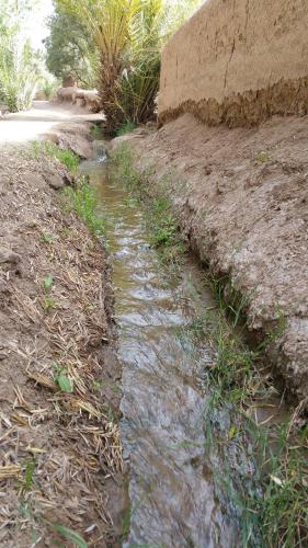 Gite Kasbah La Palmeraie Gite Kasbah La Palmeraie