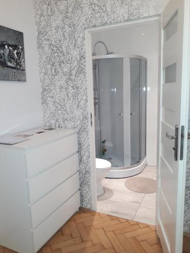 Kazimierz Apartment 3