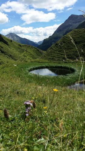 Hotel Gasthof Edelweiß - image 12