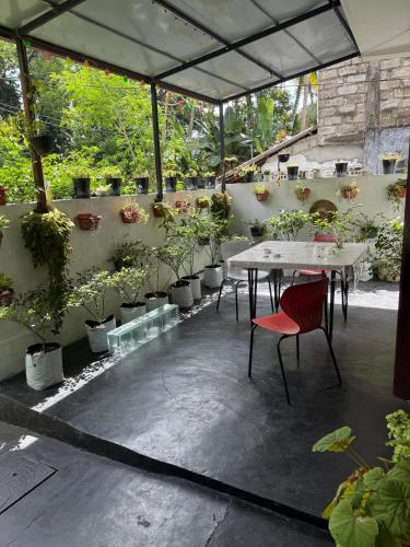 Backpacker Galle Hostel in Galle