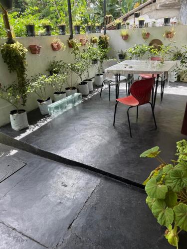 Backpacker Galle Hostel in Galle