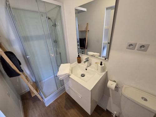 Le Simba - grand studio avec Wi-Fi in ชองป์นิเยร์