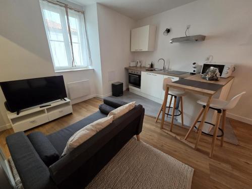 Le Timon - large studio avec Wi-Fi in ชองป์นิเยร์