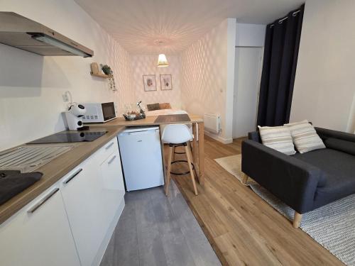 Le Timon - large studio avec Wi-Fi in ชองป์นิเยร์