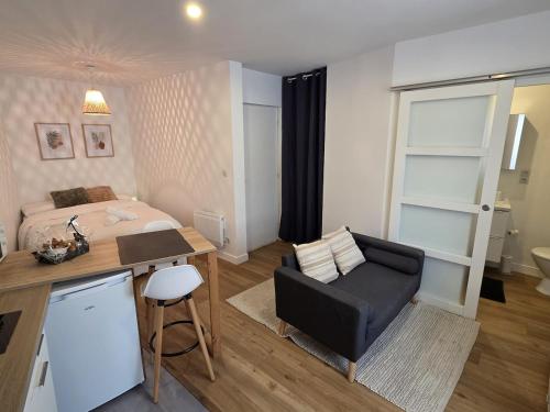 Le Timon - large studio avec Wi-Fi in ชองป์นิเยร์