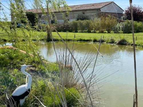 Gîte Casafamilia - Nature et sérénité (Gite Casafamilia - Nature et serenite) in Auterive (Midi-Pyrenees)