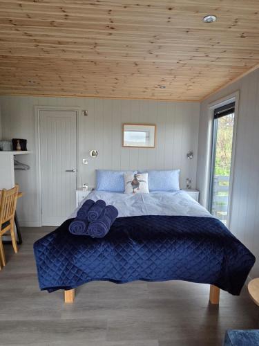 Hillside Cabin in Dunvegan