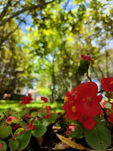 Country House UNA – Cupra Marittima, MO