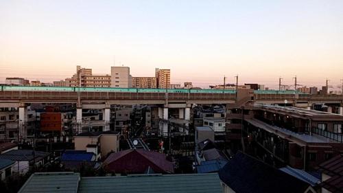 Tokyo downtown芍藥莊