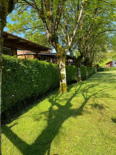 Bungalow Camping Aralar in Lekunberri