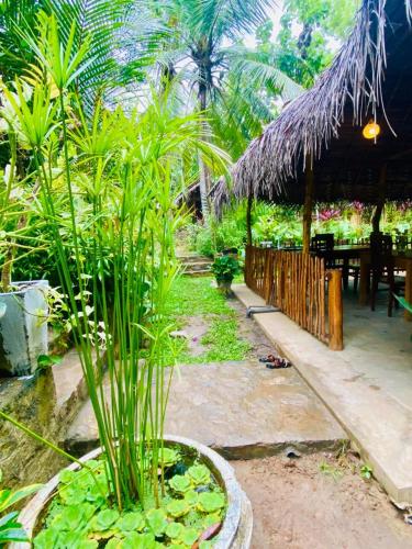 Tropical Heaven in Tangalle
