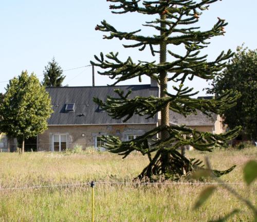 Gîte La Poterie - Location saisonnière - Jupilles