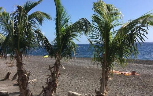 Beach, Les Palmiers in Trois-Rivieres