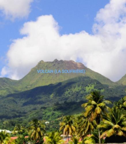 Les Palmiers in Trois-Rivieres