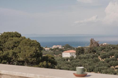 Villa Ampeli - image 5