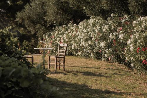 Villa Ampeli - image 12