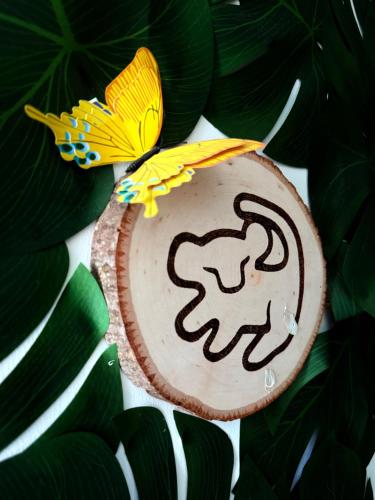 La Belle et le Nooki - Location saisonnière - Meaux