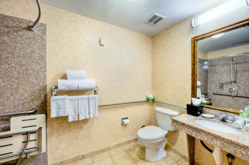 Holiday Inn Express and Suites Granbury an IHG Hotel - image 10