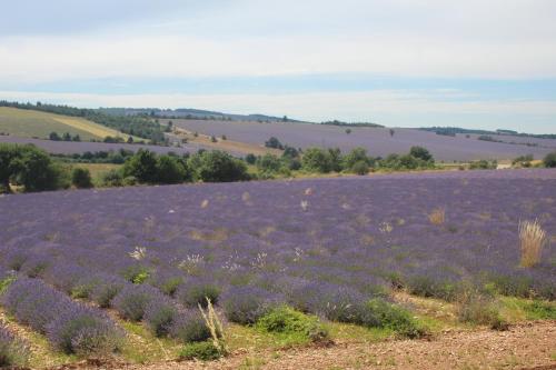 Le Mazet Du Domaine - image 12