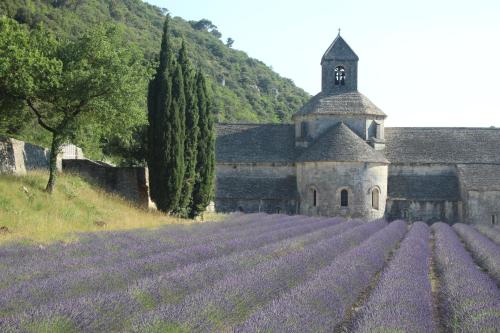 Le Mazet Du Domaine - image 9
