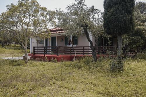 Lithies Organic Farm — other in Επαρχιακή Οδός Ζακύνθου - Βασιλικού, Vasilikos GR, 29100