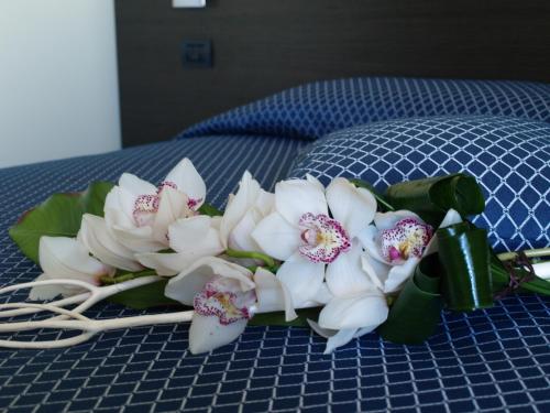 Draconerium Hotel - Tap to explore photos
