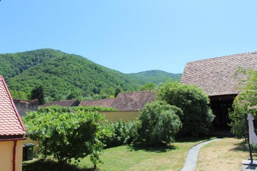 Casa Paulini