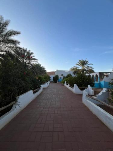 Maison authentique au cœur des oasis in Ghardaia